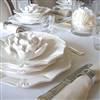 French style 18pc dinner set                      